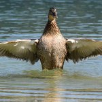 Steve Blevins - @steveblevins - Instagram
