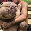 steve blevins - @steve.blevins - TikTok