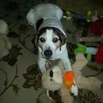 Steve Boden - @steveboden3956 - Instagram