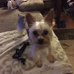 Steven Bognar - @stevenbognar1815 - Instagram