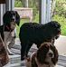 Steeve Bois - Facebook