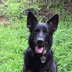 Steve Boles - @steve.boles.50 - Instagram