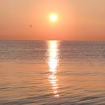 stevebonney - @stevebonney - Instagram
