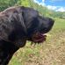 Steve Boren - Facebook