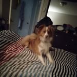Steve Boring - @stevenborring - Instagram