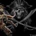 Stephen C. Bostwick - Facebook