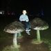 Steve Bostwick - Facebook