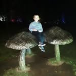 Steve Bostwick - @bostwick.steve - Instagram