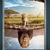 botelhosteve - @botelhosteve - TikTok
