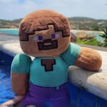 Steve Botelho Ribeiro - @steve_botelhoo - Instagram