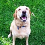 Steve Bott - @steve_bott - Instagram