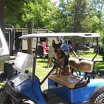 Etienne Steve Boudreau - @etienne.s.boudreau - Instagram