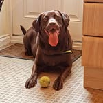 Steve Boulton - @steve.boulton.73 - Instagram