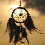 Steve - @steve.bourdeau - Instagram