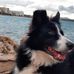 Steve Bowe - Facebook