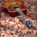 Steve Bowen - @stevebowen52 - Instagram
