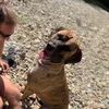 Steve Bowes - @steve.bowes4 - TikTok