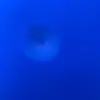 stevebowen950 - @stevebowen950 - TikTok