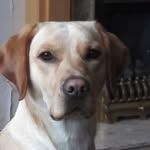 Steven Bowker - @stevenbowker69 - Instagram