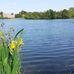 Steve Bowyer - Facebook