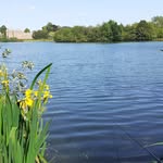 Steve Bowyer - @stevebowyer666 - Instagram