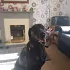 steve bowyer - @stevebowyer0 - TikTok