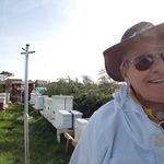 steve Boyce - @steveboycebeekeper - Instagram