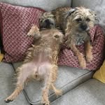 Steve Bracey - @mosteasterlysteve - Instagram