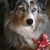 Steve Brackins - Facebook