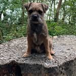Steve Braker - @steve_braker - Instagram