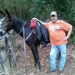 Steve Brandon - @steve.brandon - Instagram