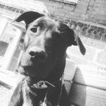 steve - @steve_brauner1984 - Instagram
