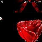 Steve Bravo - @steve.bravo.98499 - Instagram