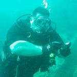 Steven breazeale - @scuba_steve_pcb - Instagram