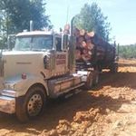 Steven Breazeale - @stevenbreazeale - Instagram