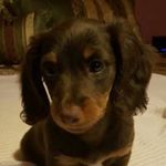 Steve Betty Breeden - @stevebettybreeden - Instagram