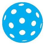 Steve Breeden - @pickleballfaq - Instagram