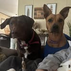 Steve Brent - Facebook