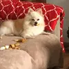 Steven Brent - @steven.brent6 - TikTok