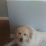 steven bretz - @steven.bretz - Instagram