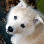 Steve Briand - @steve.briand2 - Instagram