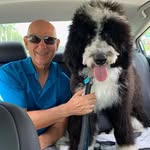 Steve Brill - @steve.brill.001 - Instagram