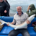 Steve Brill - @brill0640 - Instagram
