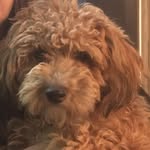 Steve Brill - @stevebrill58 - Instagram