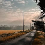 Steve Brill - @brillpix - Instagram