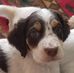 Steve Brill - Facebook