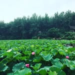 Steven Smith - @steve_brilliant008 - Instagram