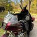 Stephen Brinkerhoff - Facebook