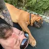 stevebrinkerhoff2 - @stevebrinkerhoff2 - TikTok