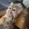 Steve Brinkley - @steve.brinkley - TikTok
